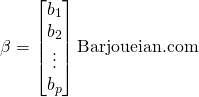 \[ \beta = \begin{bmatrix} b_1 \\ b_2 \\ \vdots \\ b_p \end{bmatrix}\text{Barjoueian.com} \]